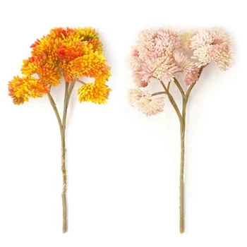 Didelis Žiediniai Kopūstai Modeliavimas Gėlių Ryžiai, Vaisiai Sultingi Augalų Buveinės Vestuvių Dekoravimas Netikrą Gėlių