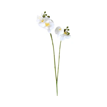 1 Vnt Suklastotas, Gėlių, Drugelių Orchidėja Gražus Netikrą Gėlių Netikrų Gėlių Plastikinių Gėlių Biuro Svetainės Miegamojo Puošmena