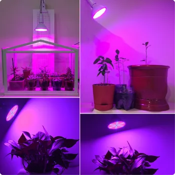36W200 Led Augti Lempučių Lempa Augalų, Gėlių, Daržovių Auginimo žiburiai Patalpų šiltnamio efektą sukeliančių hydroponics sistema+Stalas Laikiklis Klipas