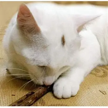 5 VNT Cute Cat Stick Kramtyti Žaislas Dantų Sveikata Kačiukas Šepetėliu Dantų Pet Gydyti
