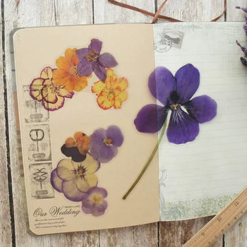 6pcs didelio Dydžio, Violetinė Orchidėja Aliejaus Tapybai Gėlių Stilius, Skaidrios PVC Lipdukas Scrapbooking 