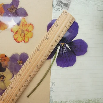 6pcs didelio Dydžio, Violetinė Orchidėja Aliejaus Tapybai Gėlių Stilius, Skaidrios PVC Lipdukas Scrapbooking 