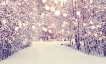 Capisco žiemos stebuklų fotografijos fone photophone blizgučiai miško kalėdų medžio sniego fone photocall foto studija