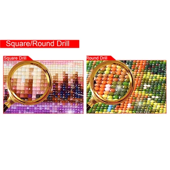 Diamond Mozaikos Gyvūnų kvadratiniu Gręžimo Apdailos Namų 5D 