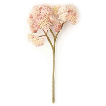 Didelis Žiediniai Kopūstai Modeliavimas Gėlių Ryžiai, Vaisiai Sultingi Augalų Buveinės Vestuvių Dekoravimas Netikrą Gėlių