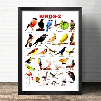 Europos stilius, dekoratyvinis vintage stilius - Iliustracija paukščių ir naminių paukščių - Meno Dekoro Retro plakato kraft popieriaus, be Rėmelio