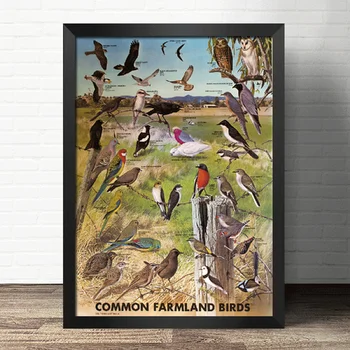 Europos stilius, dekoratyvinis vintage stilius - Iliustracija paukščių ir naminių paukščių - Meno Dekoro Retro plakato kraft popieriaus, be Rėmelio