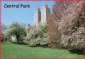JAV Kelionės Magnetai Dovanos NY Central Park Nuotrauką Metalo Suvynioti Magnetas 20001;Pritaikyti kūriniai priimti