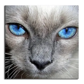 Kvadratiniu Diamond tapybos katė Visiškai Apvalus Deimantas siuvinėjimo kryželiu akis 