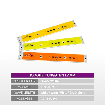 LED, COB (Chip Visą Spektrą Šalto Šiltai Balta LED, COB Karoliukai 30W 50W 80W AC220V Smart IC Fitolamp, 