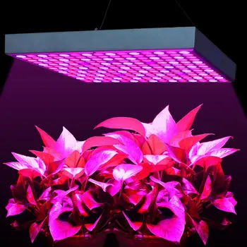 LED Grow Light Skydelis 45W Raudona Mėlyna Spektro Led Grow Lempa 225 Led Augti Žiburiai Atnaujinti Atšvaitas Augalų Lempos Kambarinių Augalų