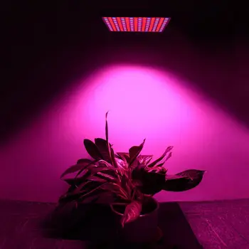 LED Grow Light Skydelis 45W Raudona Mėlyna Spektro Led Grow Lempa 225 Led Augti Žiburiai Atnaujinti Atšvaitas Augalų Lempos Kambarinių Augalų