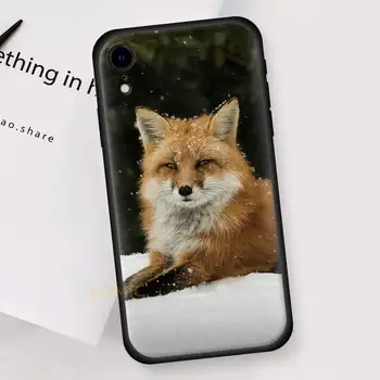 Mielas Gyvūnų Fox TPU Case for iPhone 12 Mini 11 Pro XR 8 X 7 XS MAX 6 6S Plius 5 5S SE, Juodas Minkštas Viršelis Telefono Shell 