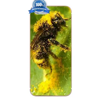 Minkštas Meno Padengti Atveju Bumble Bee Wasp Pobūdžio Vabzdžių Samsung Galaxy A3 A5 A7 J1 j3 skyrius J5 J7 S5 S6 S7 S8 S9 krašto Plius 2016 2017