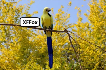 Naujas didelis realiame gyvenime geltona&blue parrot modelis putų&plunksnų modeliavimas papūga paukštis dovana, apie 60cm xf2630