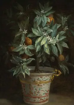 Rankų darbo naftos tapyba ant lino drobė,Apelsinų Medžių pateikė Jean-Baptiste Oudry,GYVŪNŲ,Muziejus quaity