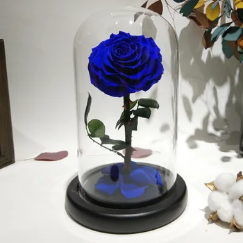 Stiklo danga, Švieži, Konservuoti Rožių Gėlių Spygliuota Rožių Flores Vestuvės Santuoka Namuose Šalis Dekoro Valentino Dienos Dovana Mėlyna