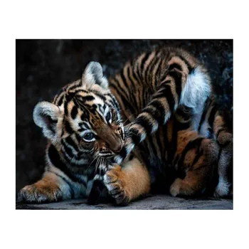 Tigras, 
