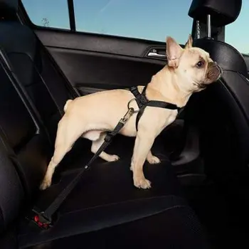Wca-07 Reguliuojamas Šuns Pavadėlio Šunelis Automobilio Saugos Diržas Eina Labai Patvarus Pavadėlio Automobilio Mokymo Didelės Vidutinės Ir Mažosios Šunys
