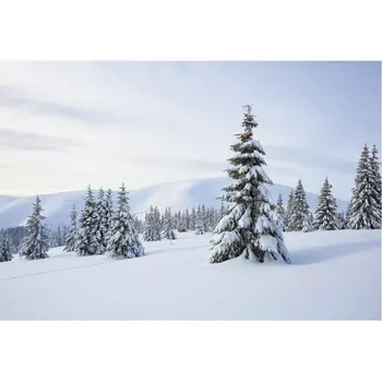 Žiemos Gamtos Peizažas Fone Miško Sniego Arenoje Fotografijos Fone Kalėdos Naujieji Metai Šalis Dekoro Photo Booth Studija Prop