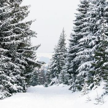 Žiemos Gamtos Peizažas Fone Miško Sniego Arenoje Fotografijos Fone Kalėdos Naujieji Metai Šalis Dekoro Photo Booth Studija Prop